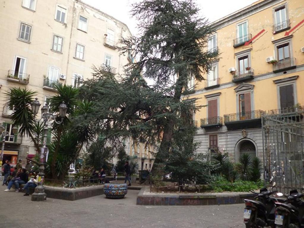 נאפולי Apartment 25 מראה חיצוני תמונה